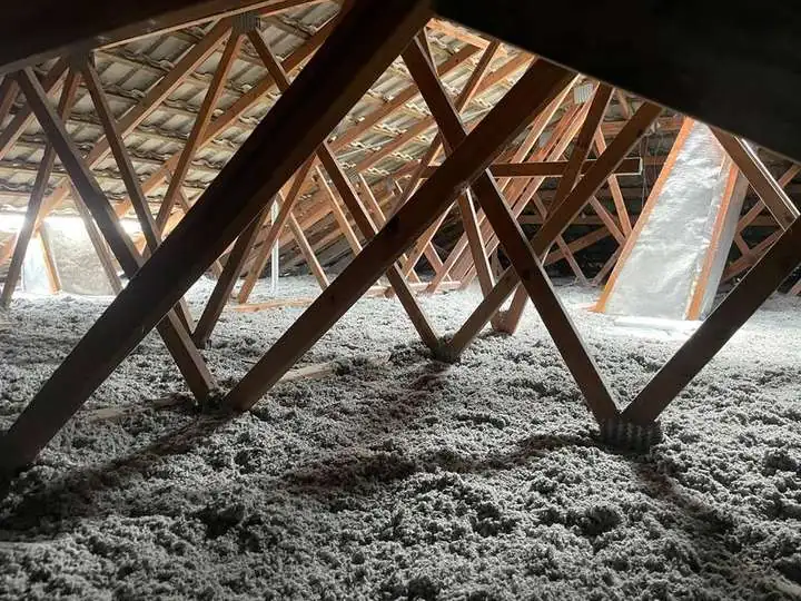 Seamless grey cellulose fibre insulation laid as one continuous blanket across the ceiling under timber roof trusses — Wynnum