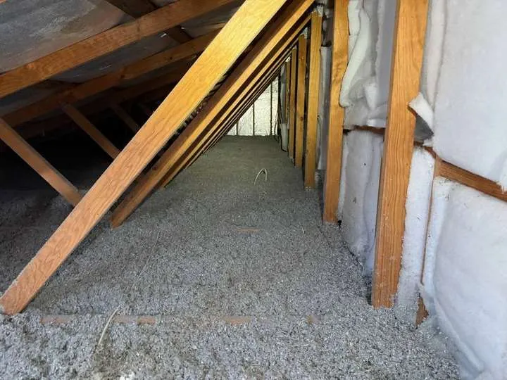 Grey cellulose blanketing a ceiling cavity beside white polyester batts packed into the sloped knee wall for sound insulation — Coolum Beach